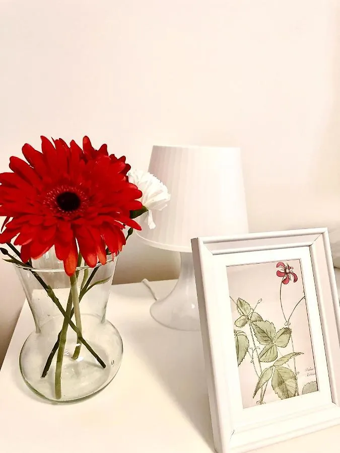 Holiday Homes Rome - Monte Verde 61 - Near Trastevere 0*,